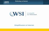 Presentación wsi, consultores WSI, Internet Marketing