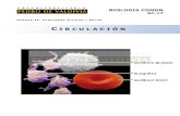 PDV: Biologia Guía N°17 [4° Medio] (2012)