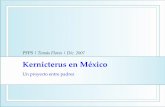 Kernicterus en México: un proyecto entre padres