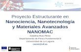Proyecto Estructurante en Nanociencia, Nanotecnología y Materiales Avanzados