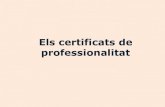 Els certificats de professionalitat
