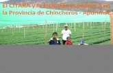 El CITARA y la inclusión económica en la Provincia de Chincheros - Apurímac