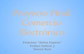 Presentacion proyecto final de comercio electronico