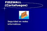 Firewall (Corta Fuegos)