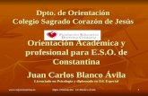 Orientacion  Académica y Profesional 10 11