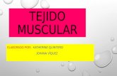 Charla de histologia tejido muscular