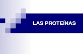 Tema 4. proteinas