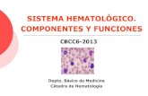 2013 introduccion hematologia-2