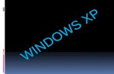 Windows   xp