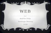 What is the web ?