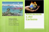 Alteraciones del ciclo carbono y nitrogeno