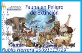 Fauna en peligro de extincion
