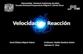 Velocidad de Reacción -Teoría de colisiones