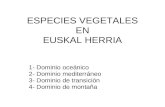 Especies vegetales eneuskal herria