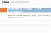 EndoBlocLleida Balaguer (17 De Setembre De 2009)