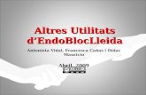 Altres Utilitats D’Endobloc Lleida (Slide Share)