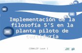Implementación de la filosofía 5'S en CONALEP León I