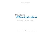 Manual básico de Factura Electrónica