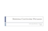 Sistema curricular peruano