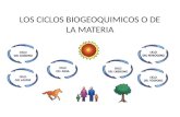 Los ciclos biogeoquimicos o de la materia