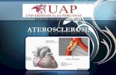 Diapositivas de aterosclerosis e hipertension [1]