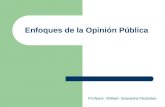 Enfoques de la opinión pública diapositivas