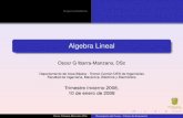 Algebra lineal temario