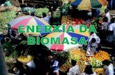 Enerxía da biomasa