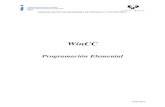 08   win cc - programación elemental (1)