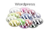 Wordpress 2011