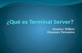 Qué es terminal services