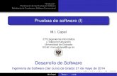 Software Testing (1)