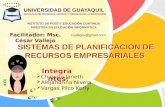 SISTEMAS DE PLANIFICACIÓN DE RECURSOS EMPRESARIALES (ERP)