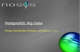 PostgreSQL Big Data