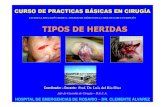 Heridas traumaticas. clasificacion y tipos. prof. dr. luis del rio diez