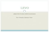 LEVO: A resource flow computer