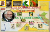 Los Ecosistemas en el Perú