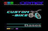 Bases custom bike_cemer