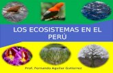 Los ecosistemas en el perú