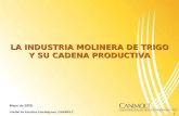 Presentacion Industria Molinera Concamin 140509