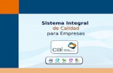 Presentación CAI Sistemas para Empresas
