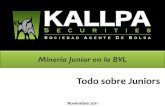 EXPOBOLSA 2011: Kallpa- todo sobre juniors