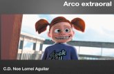 Arco extraoral
