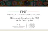 Presentación Fondo Nacional Emprendedor Seguimiento 2013