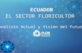 Floricultura ecuatoriana 2013