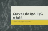 Curvas de IgG, IgA e IgM