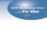 SAP Bussines One 2008
