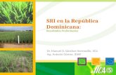 1169 SRI en la República Dominicana