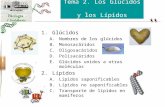 Bio 02   glúcidos y lípidos