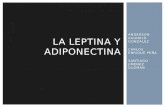 La leptina y la adiponectina